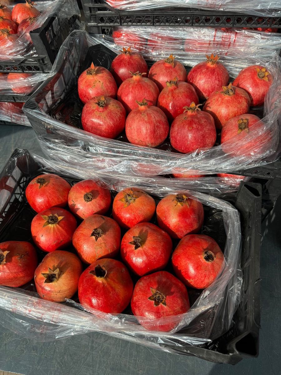 Pomegranates 2